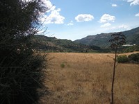 gale-20120725 147
